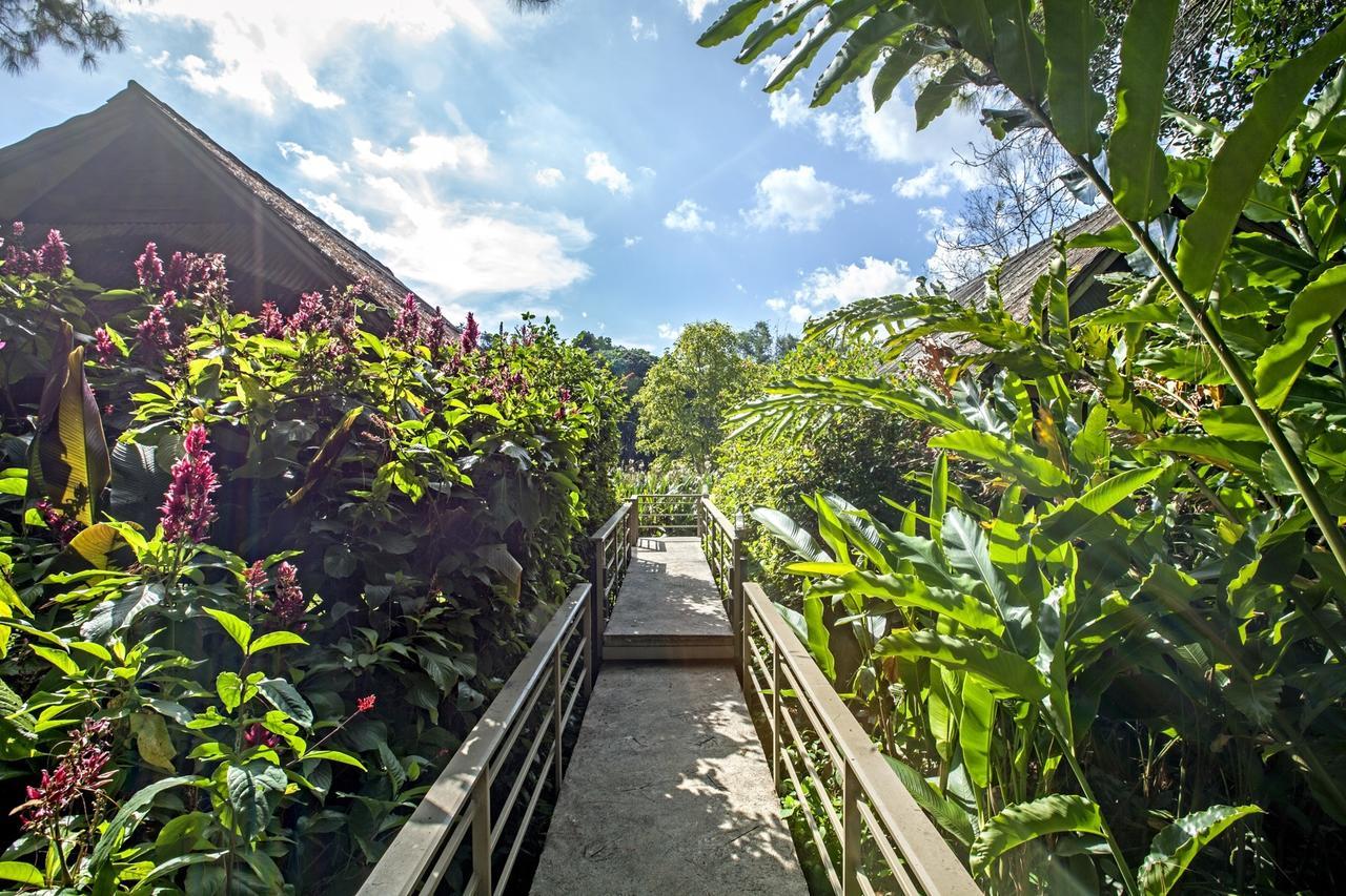 Khaokhoherbary Organicfarm&Resort Khao Kho Zewnętrze zdjęcie