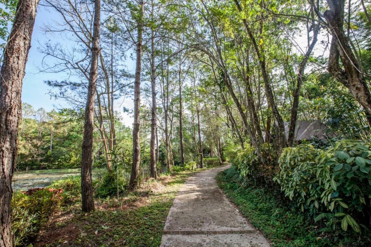 Khaokhoherbary Organicfarm&Resort Khao Kho Zewnętrze zdjęcie