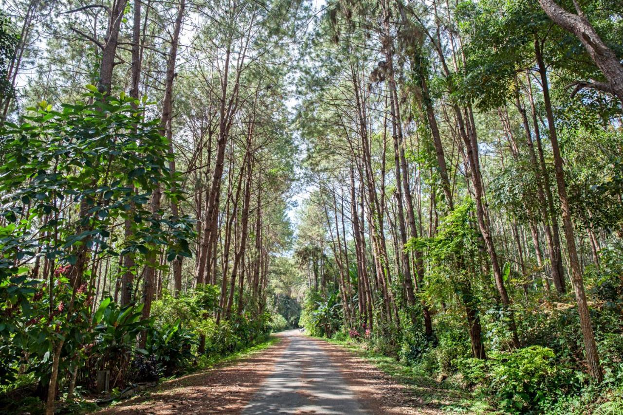 Khaokhoherbary Organicfarm&Resort Khao Kho Zewnętrze zdjęcie