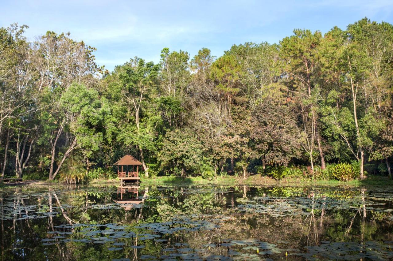 Khaokhoherbary Organicfarm&Resort Khao Kho Zewnętrze zdjęcie