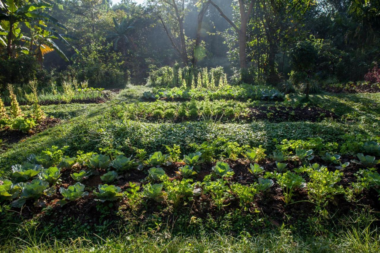 Khaokhoherbary Organicfarm&Resort Khao Kho Zewnętrze zdjęcie