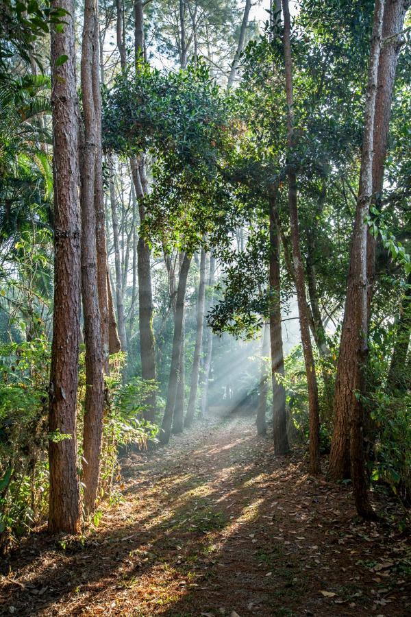 Khaokhoherbary Organicfarm&Resort Khao Kho Zewnętrze zdjęcie